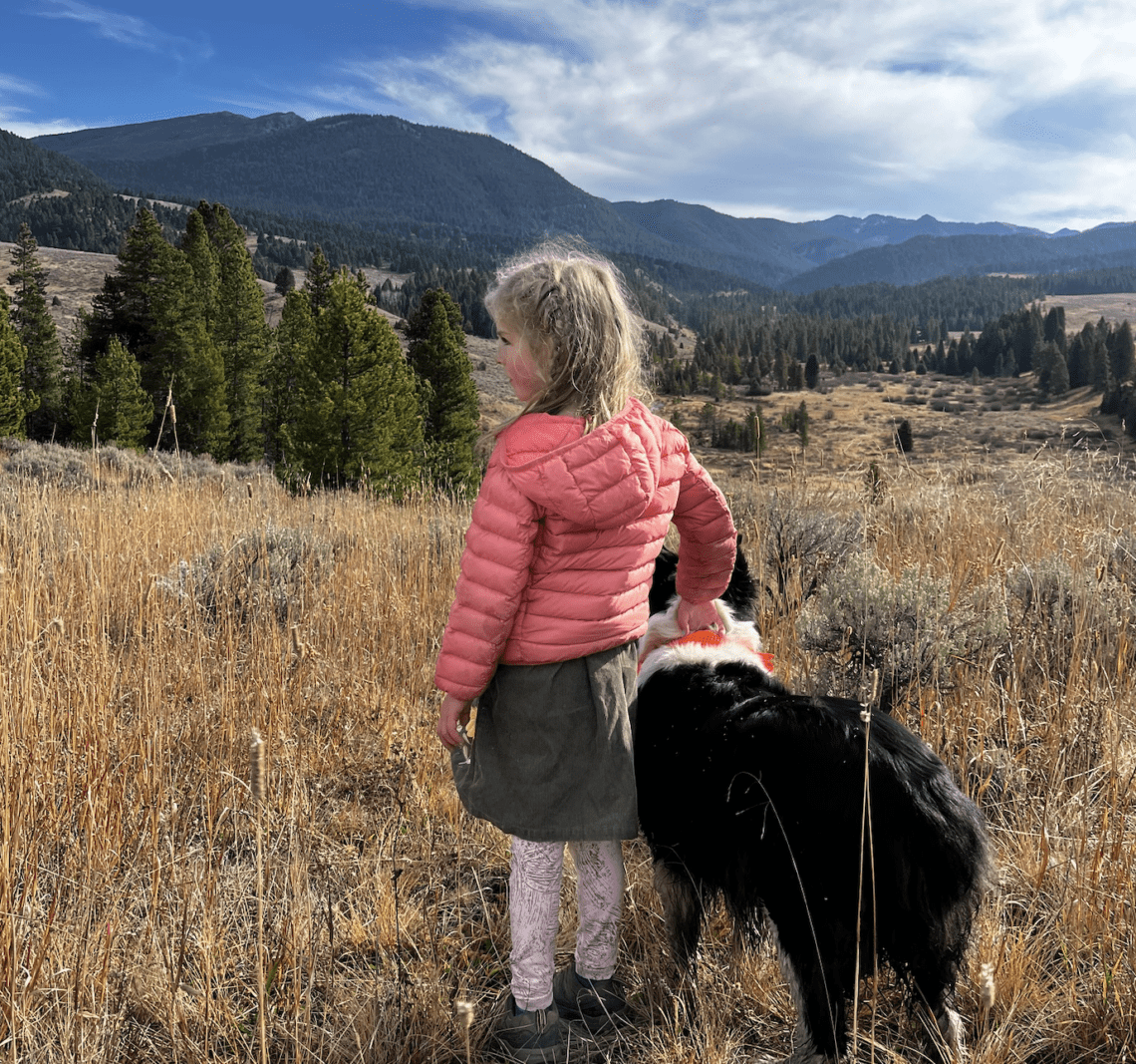 Letter to the Editor: Protecting our wild spaces means advocating for them, together